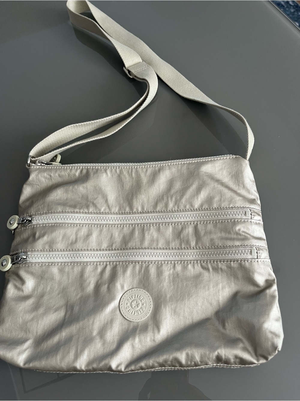 Kipling Metallic Silver Nylon Crossbody Bag